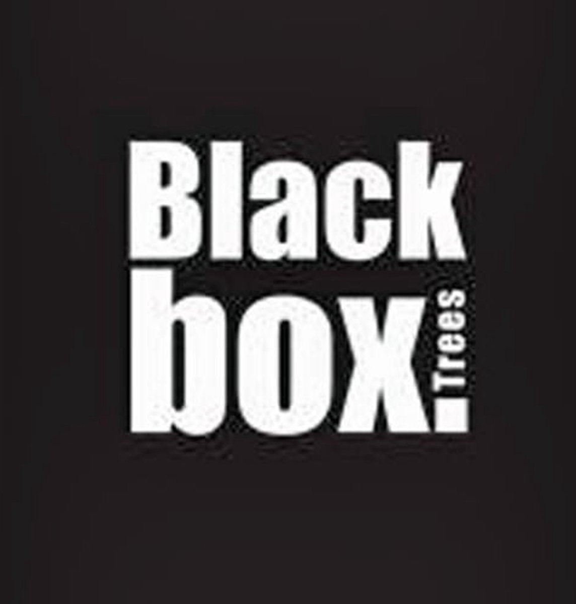 Black Box Trees Charlton Kunstkerstboom - H155 cm - Groen