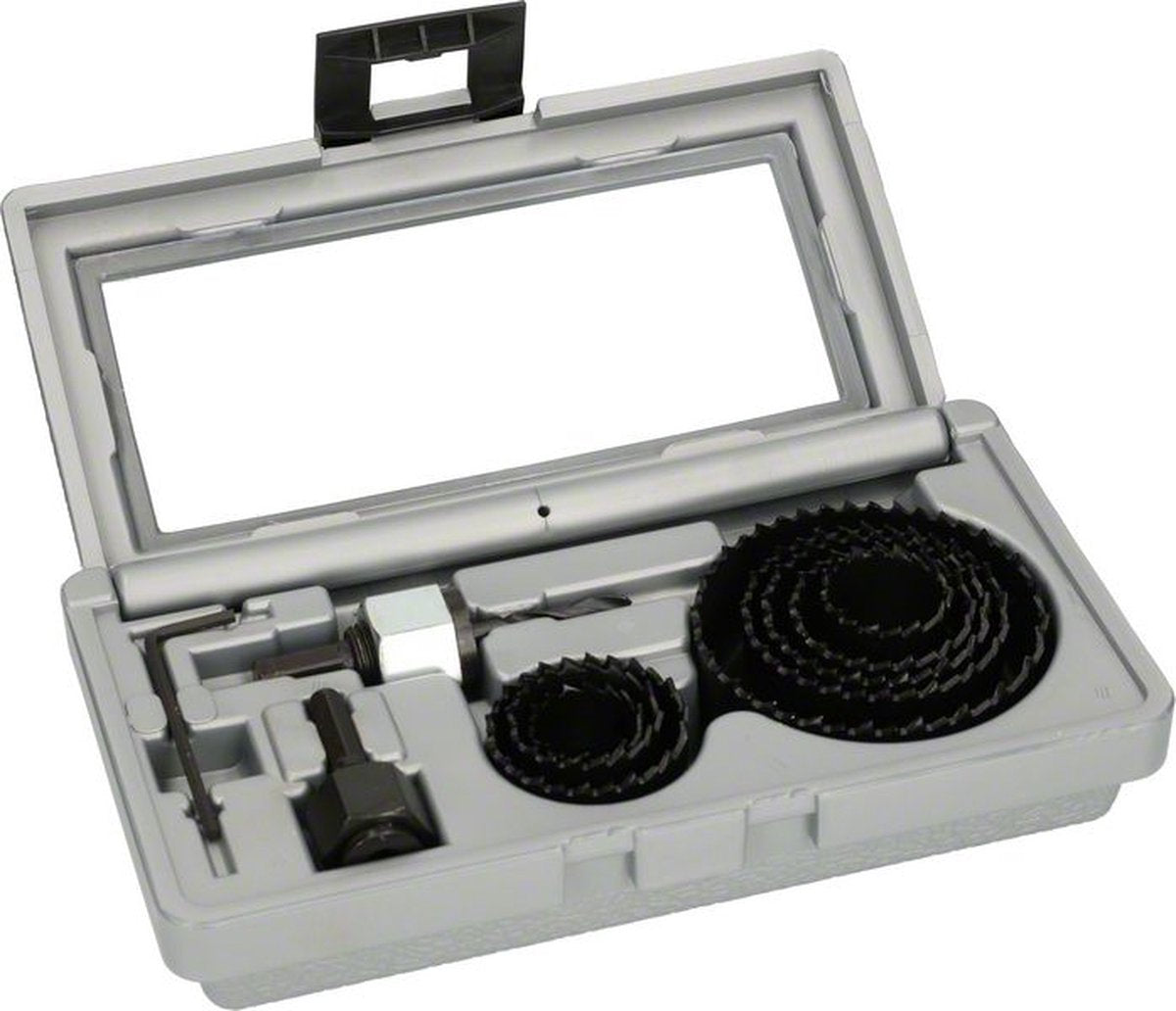 Bosch Gatenzaag - 11-delige set