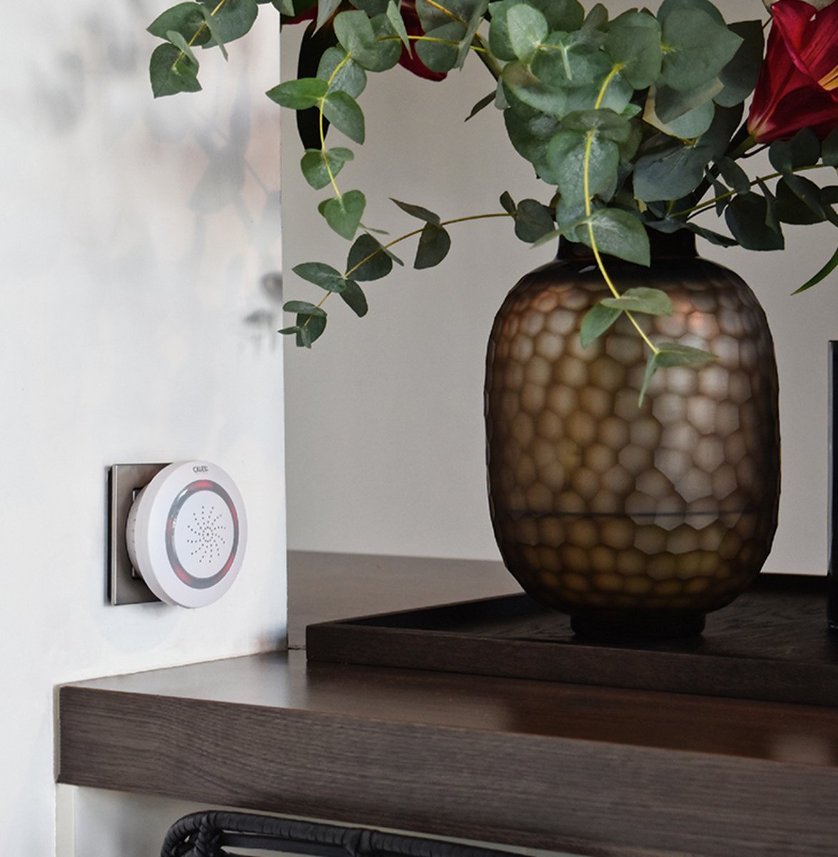 Calex Slimme Sirene - Smart Home Alarmbeveiliging - Stopcontact - 100db